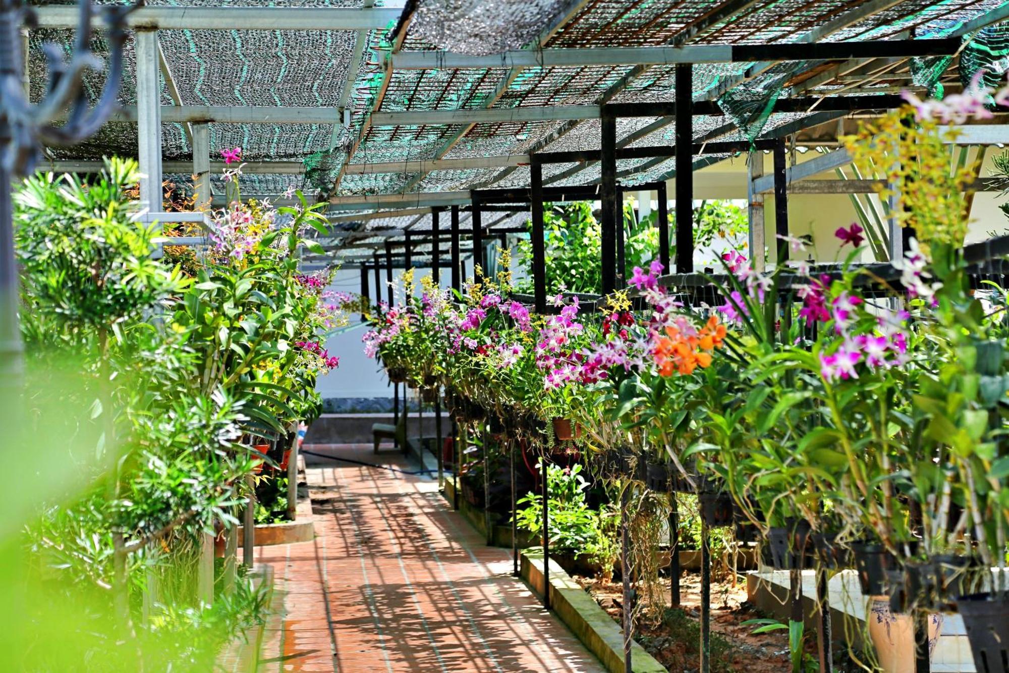 881 Lam Ha Pool Resort Phu Quoc Exteriör bild